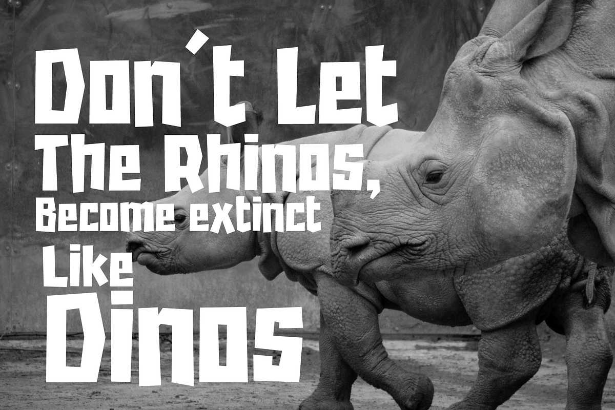 Rhino, a Sans Serif Font by almazstudio (Photo 3 of 8)