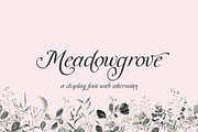 Meadowgrove Calligraphy Font, a Handwritten Font by Beck McCormick (Thumbnail 1 of 10)