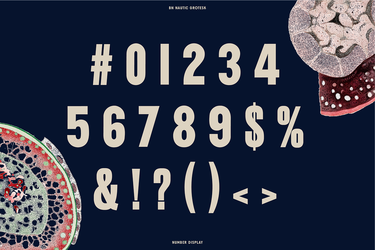 Nautic Grotesk - Modern Display Font, a Sans Serif Font by Bnick (Photo 6 of 12)