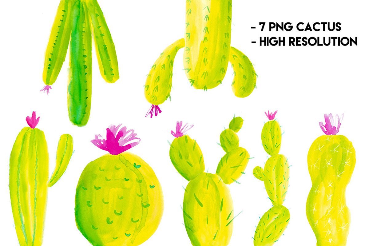 Cactus Collection, an Illustration by by Aline Albino (Photo 3 of 3)
