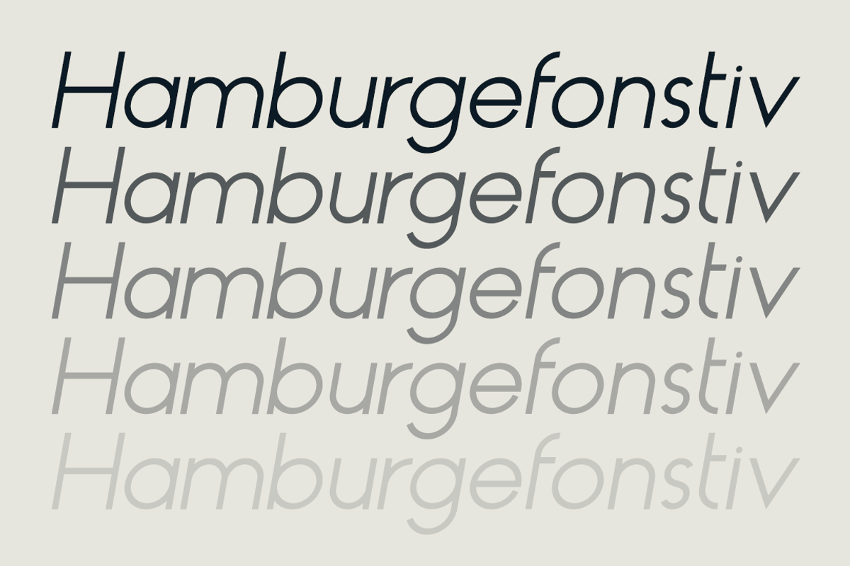 HAUS Sans Regular preview 3