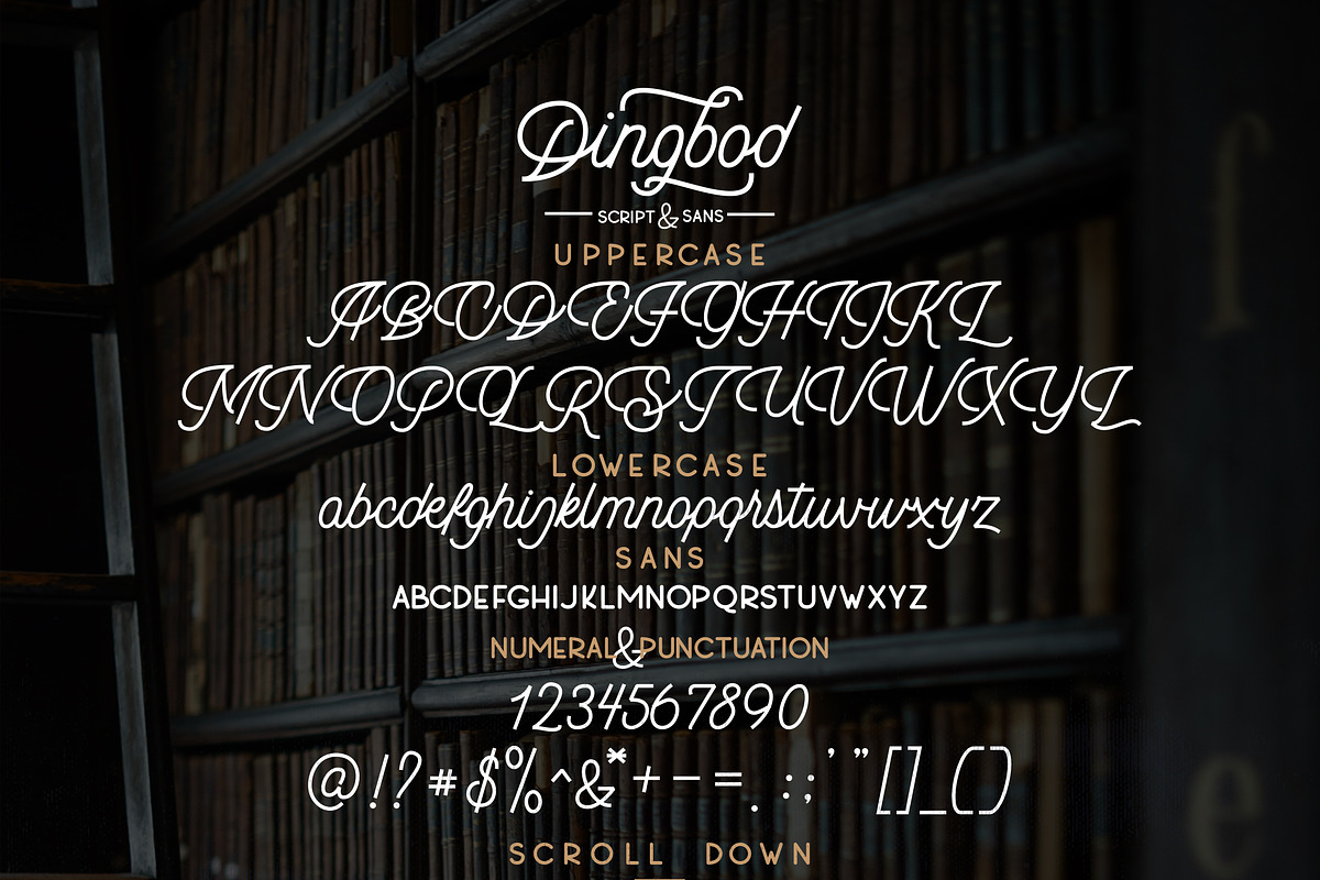 Dingbod - Sript and Sans, a Script Font by Inspiratype (Photo 14 of 14)