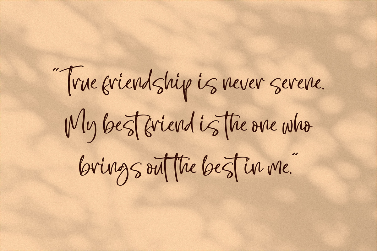 Sellaheby, a Script Font by Integritype Studio (Photo 13 of 15)