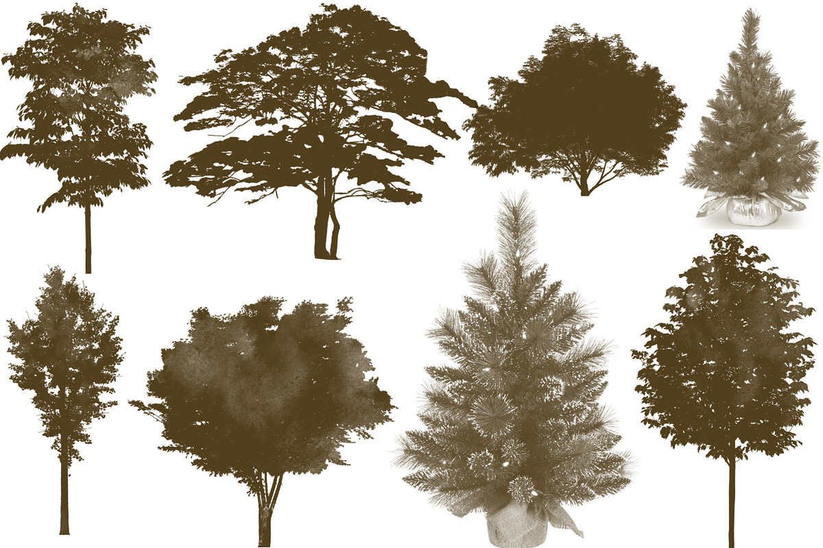 100 Tree Brush Stamps Photoshop, a Brush Add-On by Chipshpow Graphics (Photo 7 of 8)