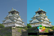 50 Osaka Lightroom Presets & LUTs, a Preset Add-On by SparkleStock (Thumbnail 2 of 10)