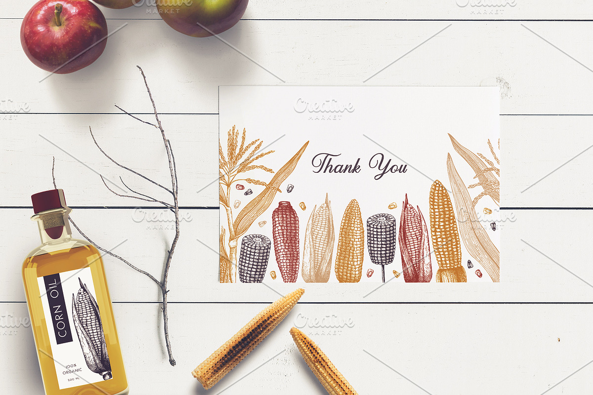Sweet Corn. Vector Food Collection, a Food Illustration by Yevheniia (Photo 6 of 6)
