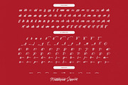 Letterking Quality Bold Handwritten, a Script Font by stylishtype.co (Thumbnail 19 of 20)