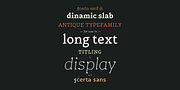 Certa Serif, a Serif Font by Glen Jan (Thumbnail 4 of 12)