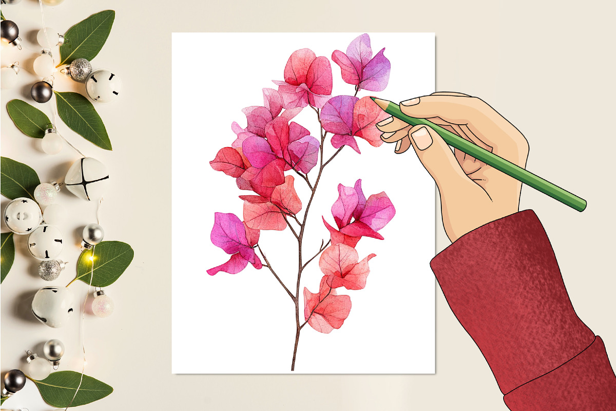 Bougainvillea Flower Watercolor PNG, a Seasonal Illustration by RobertsArt (Photo 4 of 7)