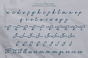 Silenta Pro, a Script Font by Soft Creative (Thumbnail 10 of 10)
