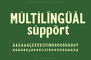 Spancer + BONUS, a Serif Font by inumocca_type (Thumbnail 8 of 11)