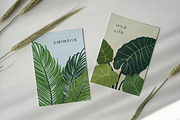 Tropical leaf plants, posters set, a Decorative Illustration by Good Studio (Thumbnail 12 of 15)