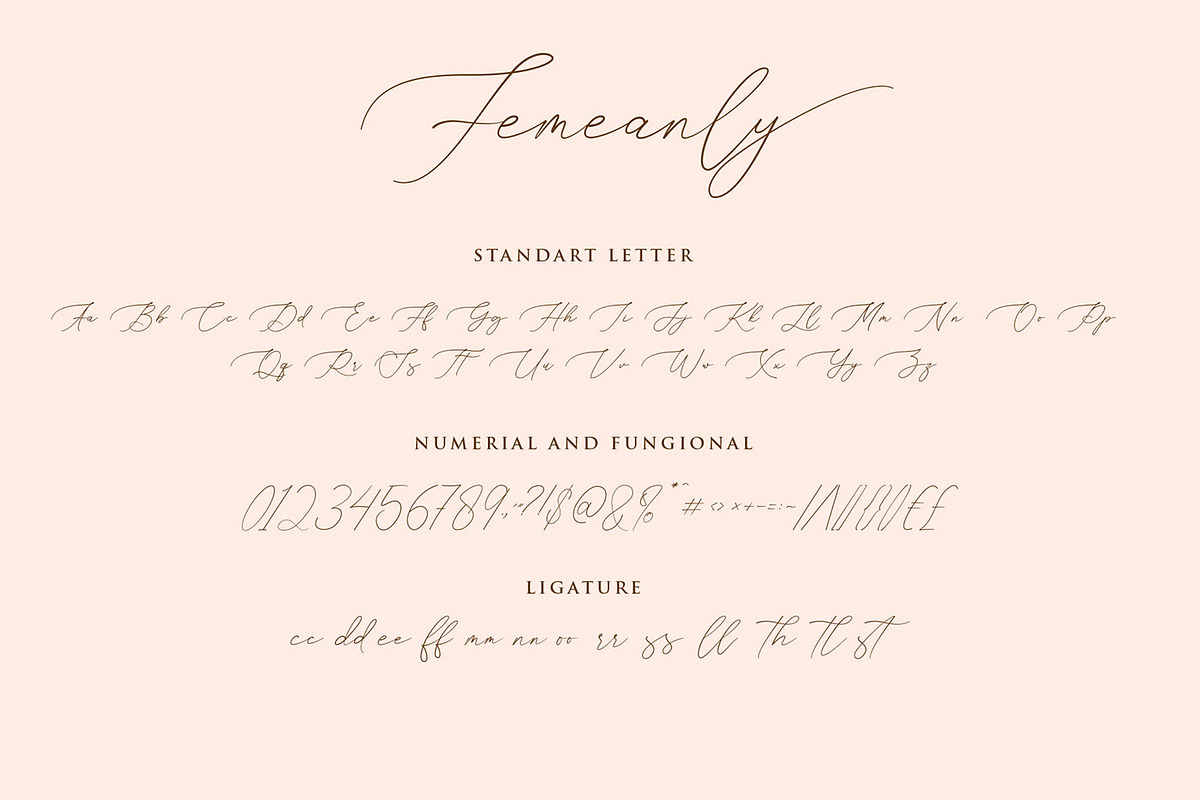 Femeanly - Casual script font, a Script Font by RantautypeStudio (Photo 12 of 13)