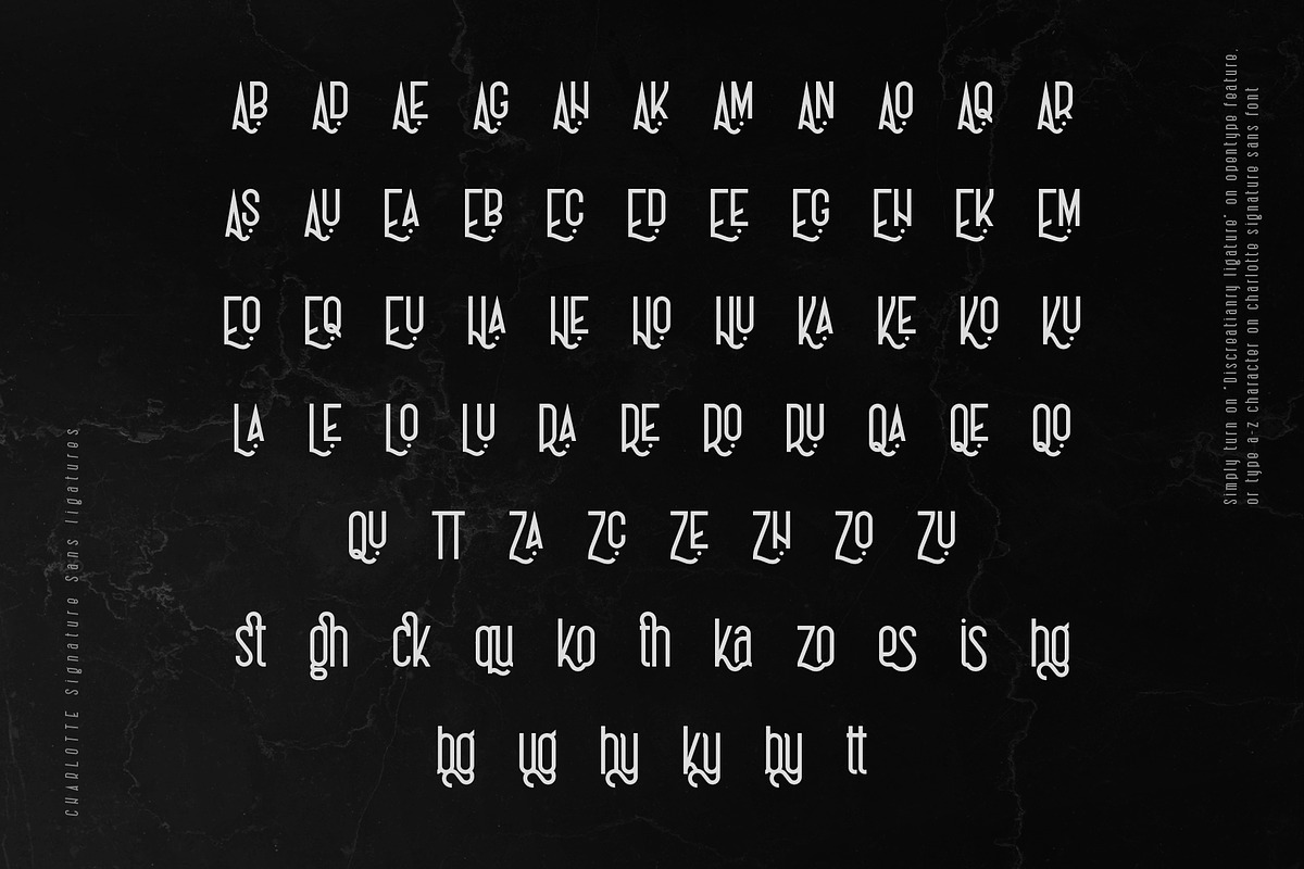 Charlotte Signature Font Duo, a Script Font by Type and Co. (Photo 9 of 18)
