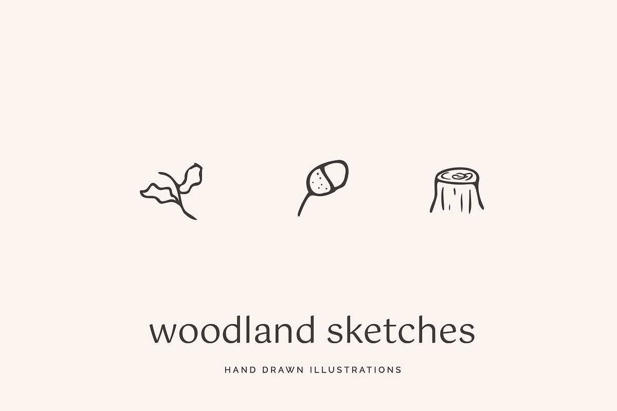 Woodland Icons Illustrations Forest, an Outline Icon by CreativeWilderness (Photo 7 of 11)