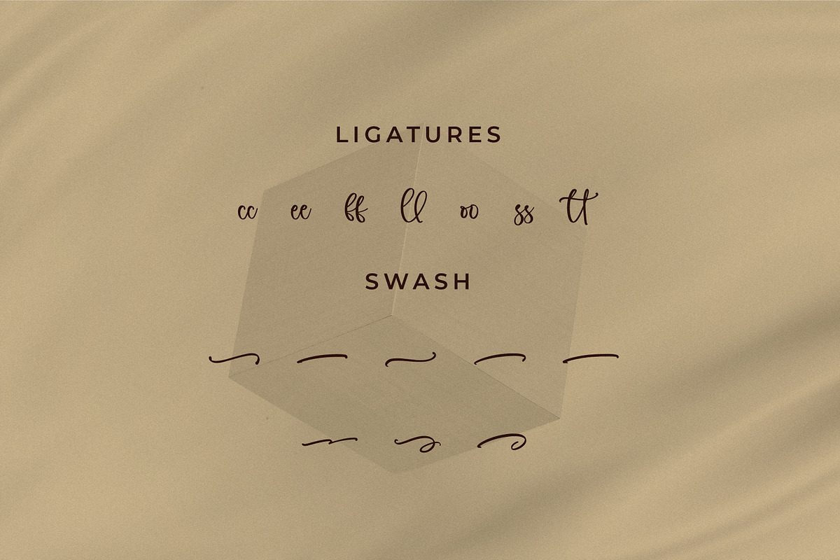 Sauxlle, a Script Font by Integritype Studio (Photo 11 of 15)