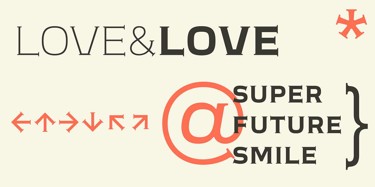 Meguro Serif, a Serif Font by GT&CANARY (Photo 10 of 12)