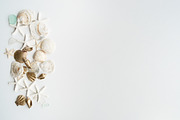 Summer Photo Bundle - Seashells, a Nature Photo by GT Studio (Thumbnail 9 of 11)