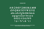 Yowa typeface, a Serif Font by Rvq Type Foundry (Thumbnail 3 of 4)
