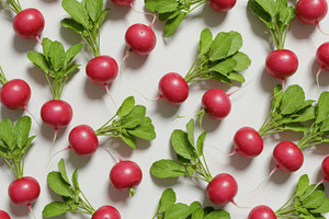 Fresh red radishes with green leaves, a Food & Drink Photo by professorinc