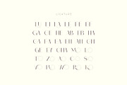 Monic - Modern Ligature Font, a Sans Serif Font by suhadidesign (Thumbnail 10 of 11)