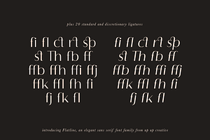 Flatline Sans Complete - 16 Fonts