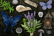 Witch's Magic Garden Collage Kit, an Object Illustration by Vicccky (Thumbnail 5 of 9)