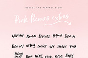 Pink Berries Script font + Extras, a Handwritten Font by Creator Goodies (Thumbnail 3 of 9)