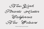 Blicker Feast | Dirty Script Font, a Script Font by Jolicia Type (Thumbnail 3 of 11)
