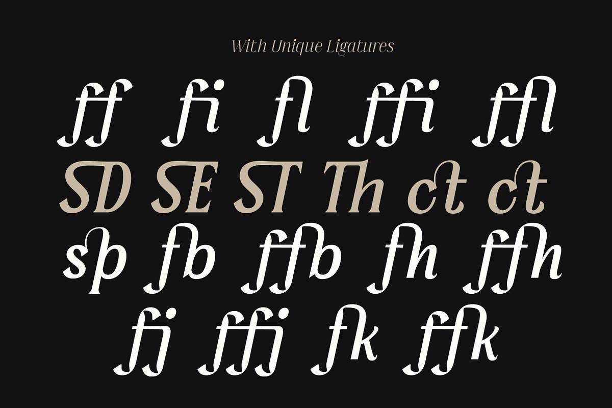 Serelia Serif Family | Intro 60% OFF, a Serif Font by Lettertype Studio (Photo 14 of 17)