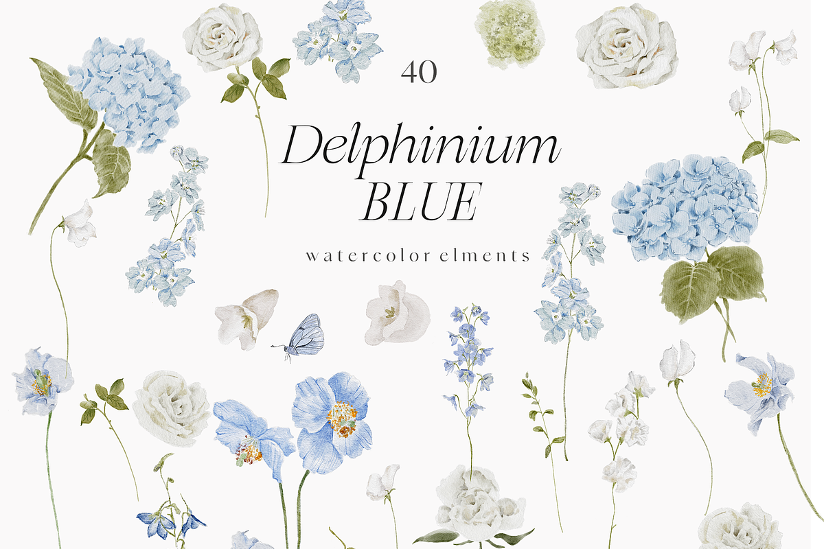 Delphinium blue Delicate Flowers, a Decorative Illustration by Grace Noboa Illustrations (Photo 9 of 9)
