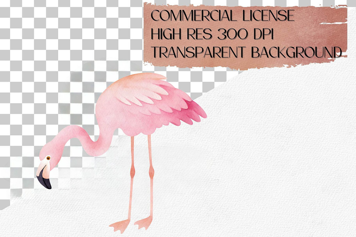 Watercolor Flamingo Clipart Set, an Animal Illustration by CropUp Creative (Photo 4 of 4)