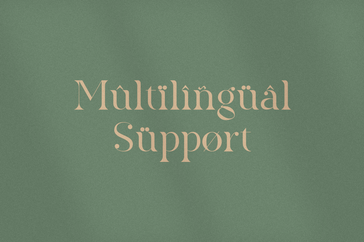 The Heart Mighty - Elegant Serif, a Serif Font by RockboyStd (Photo 10 of 12)