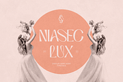 Niasec Lux Elegant Display Font, a Sans Serif Font by Casloop Studio (Thumbnail 1 of 15)