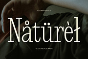 CS Somers – Condensed Font, a Serif Font by Craft Supply Co. (Thumbnail 6 of 8)