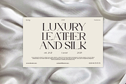 Elegant Serif - Roman Escort, a Serif Font by Font Liner (Thumbnail 6 of 14)