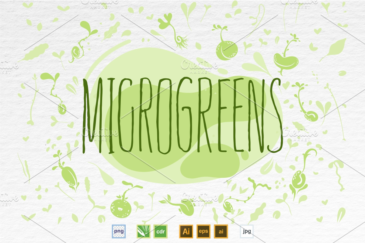 Microgreens Vector Set, an Object Illustration by ElenaKovalyova (Photo 1 of 7)