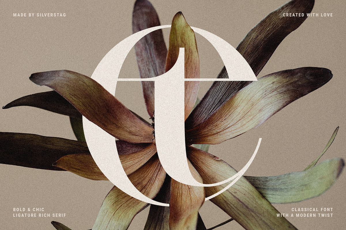 Archer Display - Ligature Serif Font, a Serif Font by SilverStag Type Foundry (Photo 3 of 29)