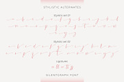 Silentgraph, a Script Font by din-studio.com (Thumbnail 10 of 10)