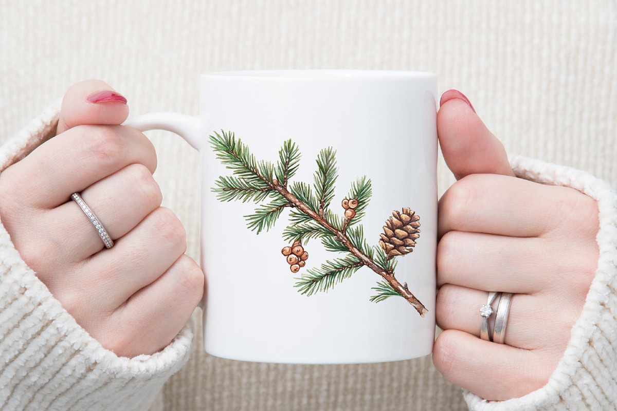 Evergreen Clipart Watercolor Christm, an Illustration by Sublimation Artist (Photo 5 of 6)