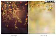 Autumn Portrait Backgrounds, a Background Graphic by MixPixBox (Thumbnail 5 of 8)