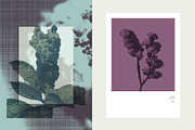 Printed Botanical Graphics, an Object Graphic by Neatly Made Studio (Thumbnail 3 of 17)