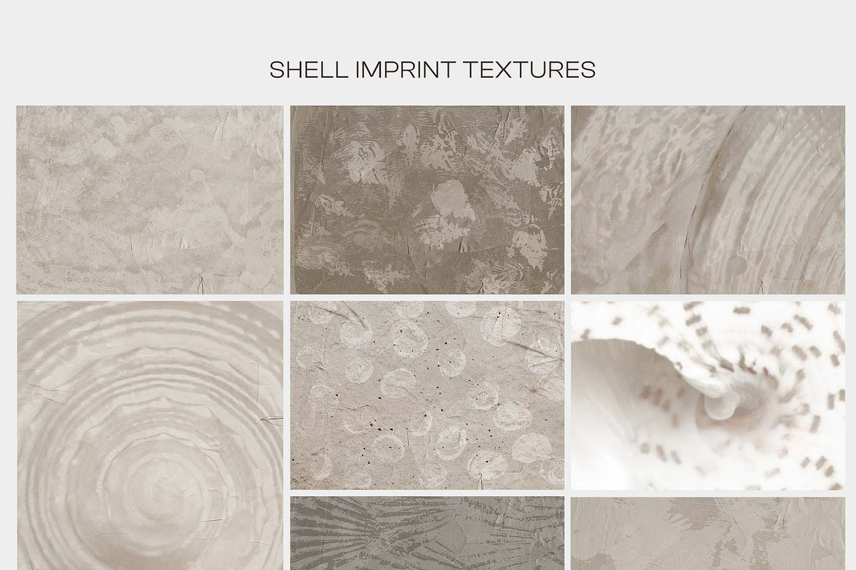 Shell Imprint textures, a Background Graphic by DigARTbyHavroshka (Photo 10 of 12)