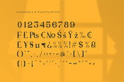 Ashfield - Serif Typeface Font, a Serif Font by Rishsketch (Thumbnail 13 of 15)