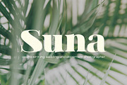 Junie | A High-Contrast Serif Font, a Serif Font by Blythe Green (Thumbnail 5 of 12)
