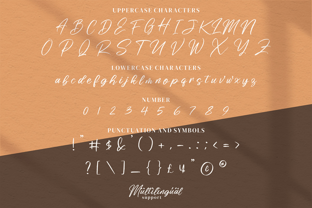 Risess Singature, a Script Font by Integritype Studio (Photo 5 of 7)