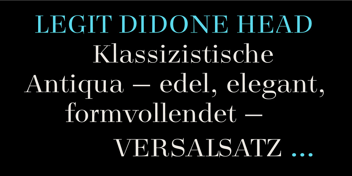 Legit Didone Head, a Serif Font by Finaltype (Photo 14 of 14)