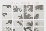 30 Botanical Shadow Overlays, a Mockup by Megs Lang (Thumbnail 7 of 8)