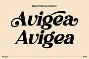Avigea Modern Serif Font Display, a Script Font by Storytype Studio (Thumbnail 2 of 10)