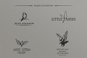 Hand Drawn Vintage Birds, an Object Graphic by danielcomerci (Thumbnail 3 of 3)